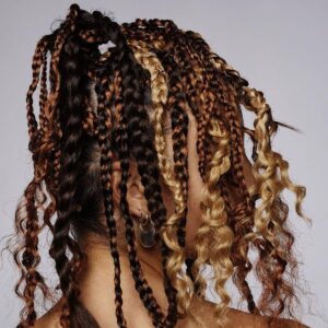 Multi-Colored Passion Twist Hairstyle